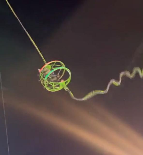 但座位艙右邊繩索斷裂,只剩下左邊繩索連接在柱子上。(Twitter)