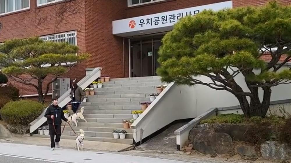 母犬名為哥米(Gomi),公犬名為松江(Song Gang)。(Twitter)