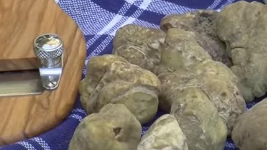 每個Pizza將灑上56克白松露;至於黃金,是指純金金箔,十分奢華。(YouTube)