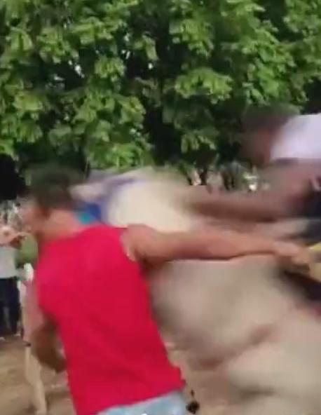 結果Givanilton Alves da Silva衝入賽道還沒有兩步,就被一匹白馬撞飛出去。(Twitter)