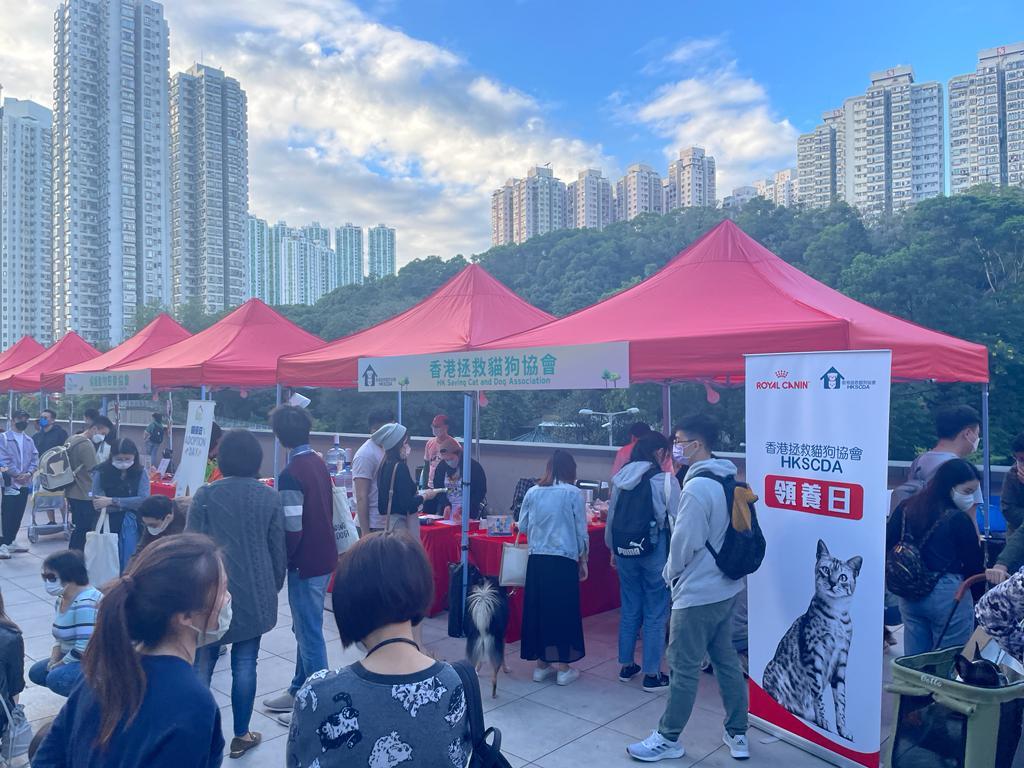 漁護署與多個團體舉辦你寵愛 - 狗狗領養嘉年華。(郭曉欣攝)