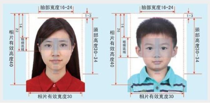 回鄉證續期懶人包|相片規格