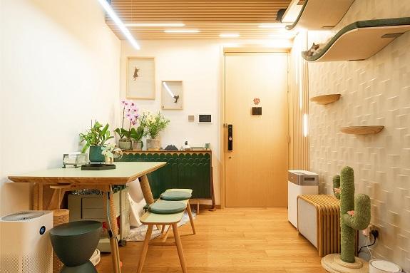 客廳造了貓爬架及跳台,連爬架都用了綠色的元素