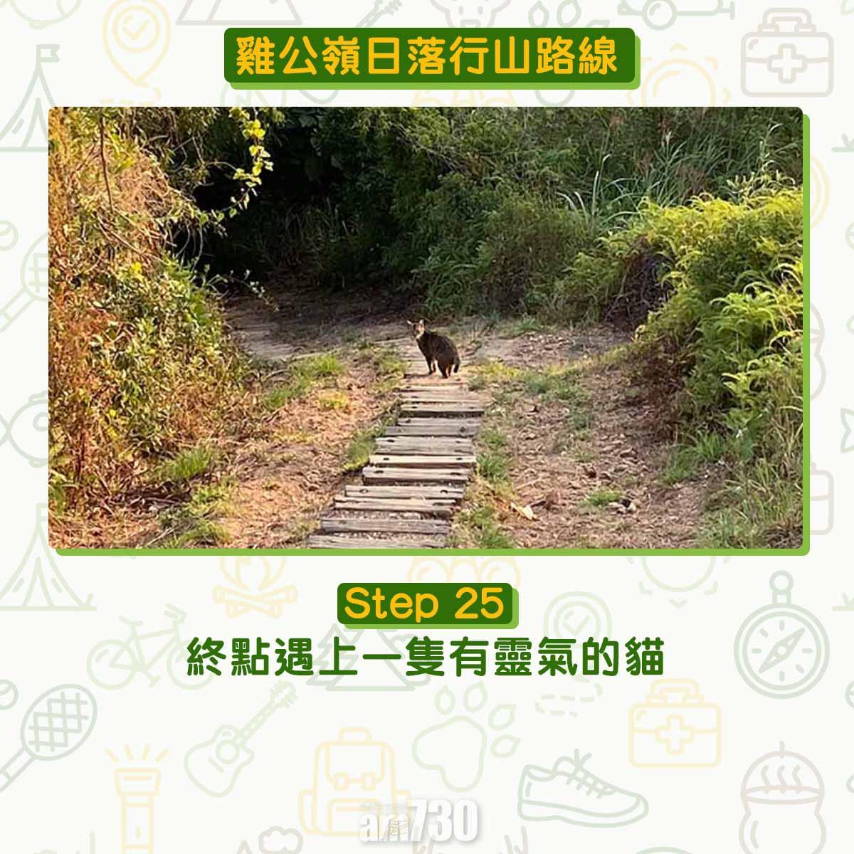 雞公嶺日落行山路線