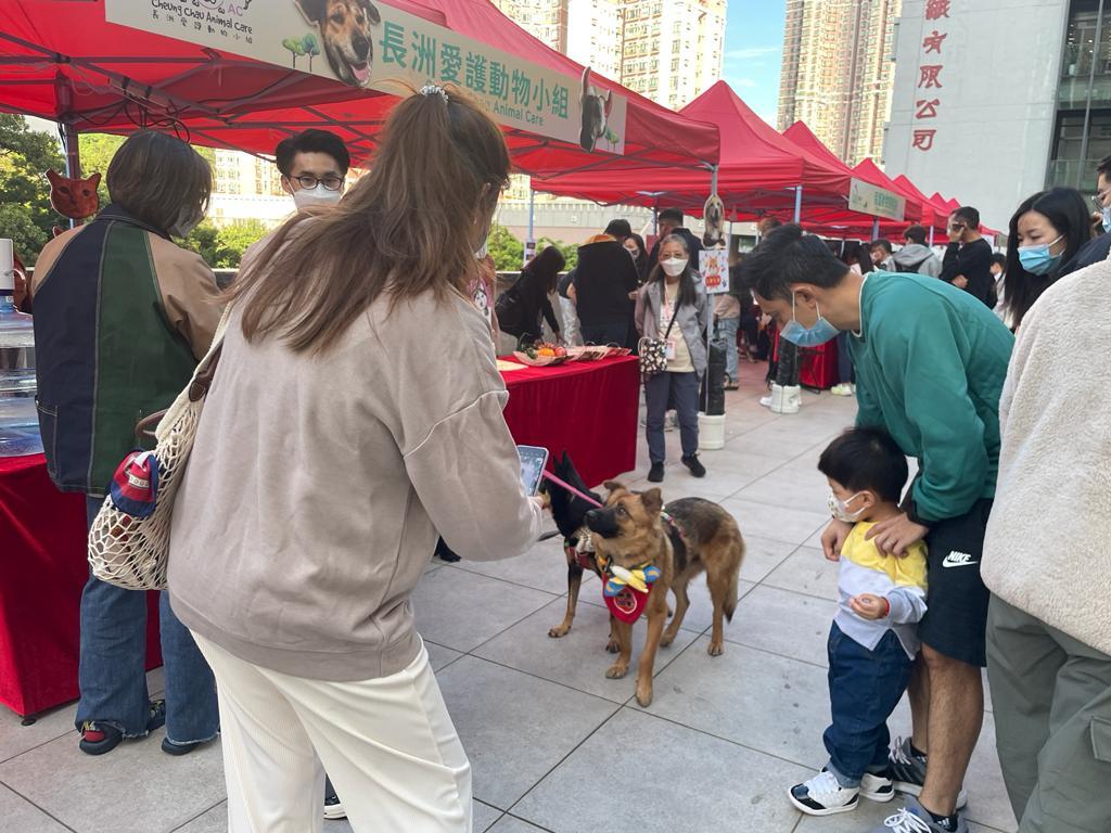 漁護署與多個團體舉辦你寵愛 - 狗狗領養嘉年華。(郭曉欣攝)