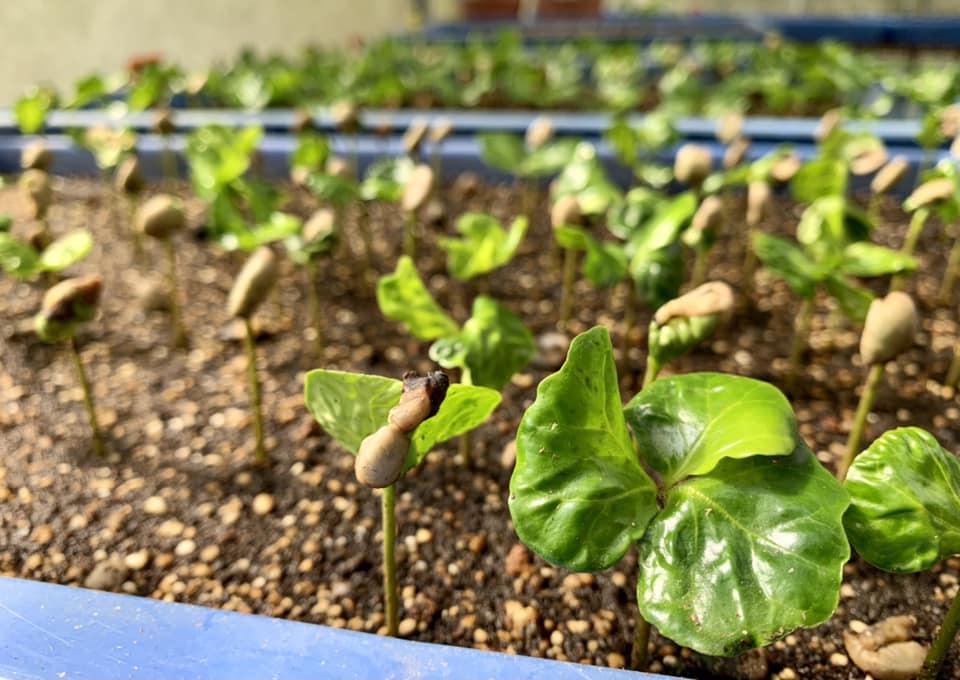 遊《緣路山旮旯》取景地 黃錦星:「水上巴士」豐富低碳本地遊景物