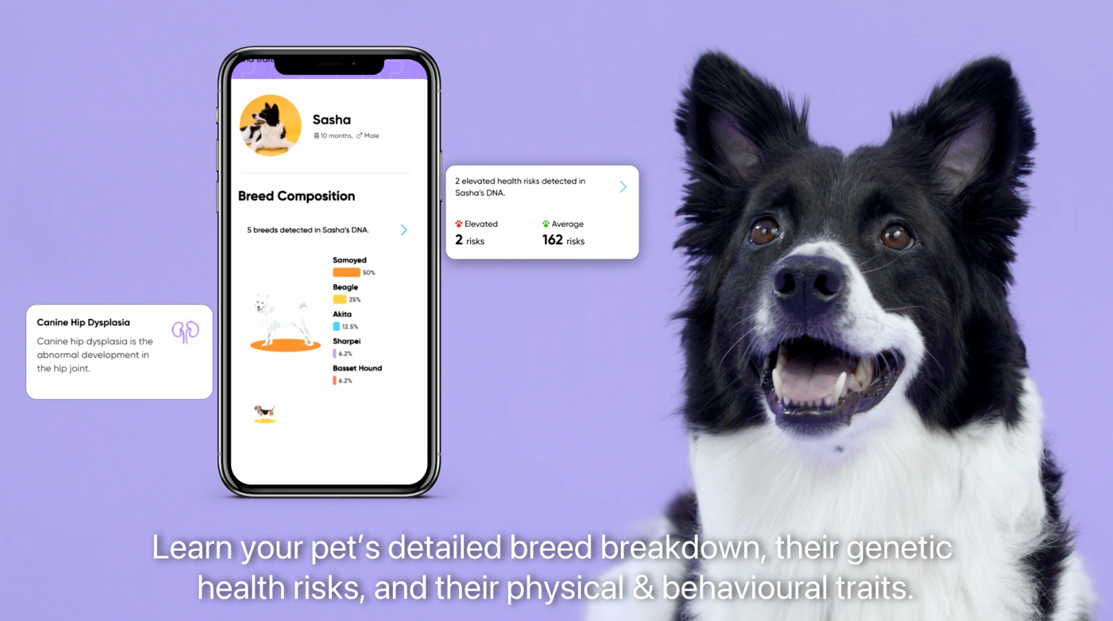 在Circle app閱覽CirclePaw的全面報告。