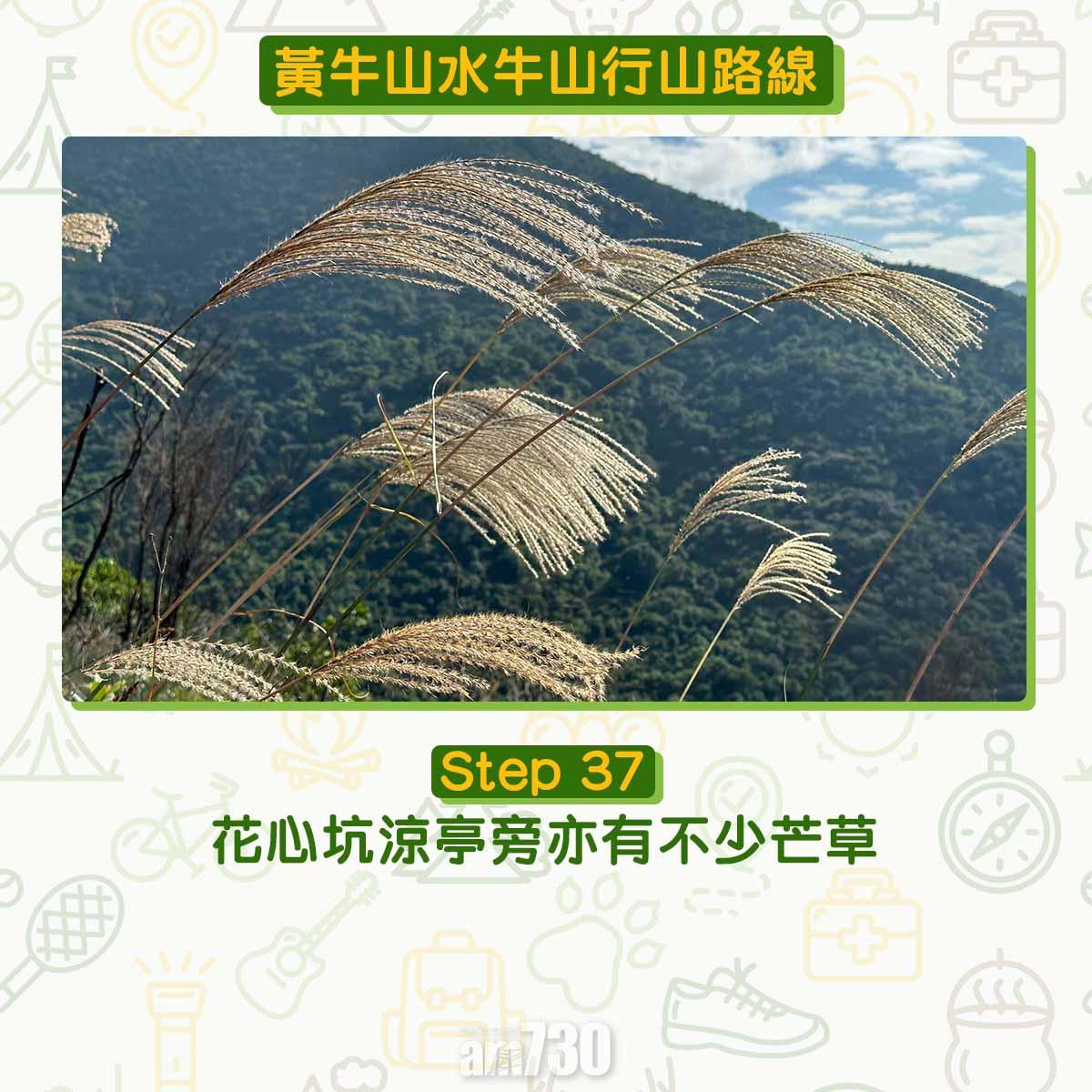 黃牛山水牛山