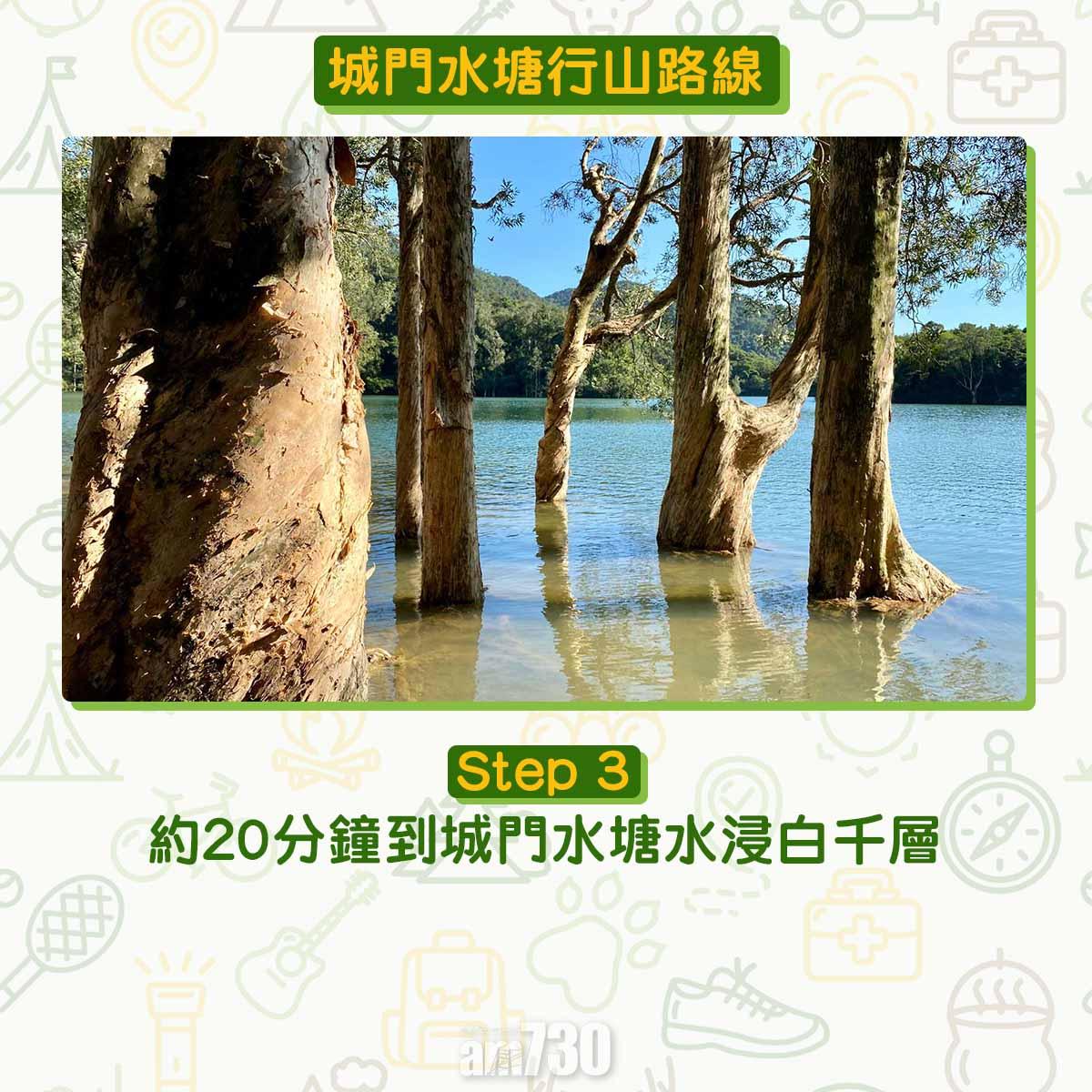 城門水塘行山路線