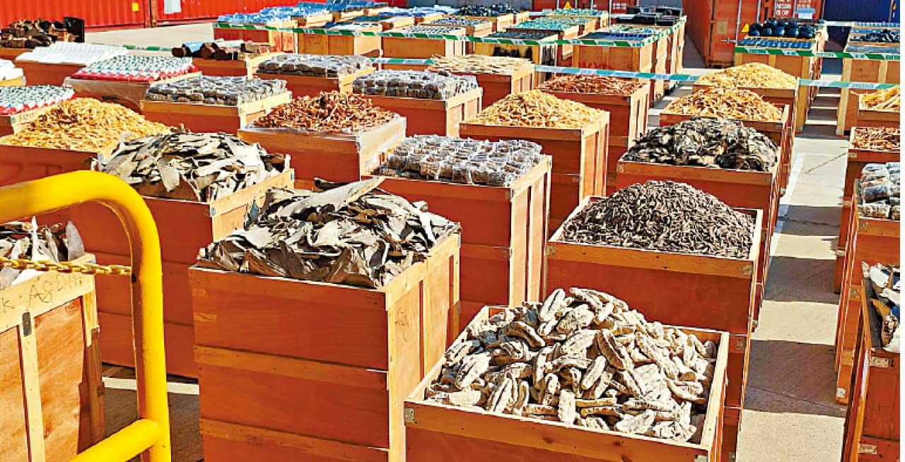 破獲今年第二大宗海路走私案 海關檢市值2億海味紅酒黑膠碟