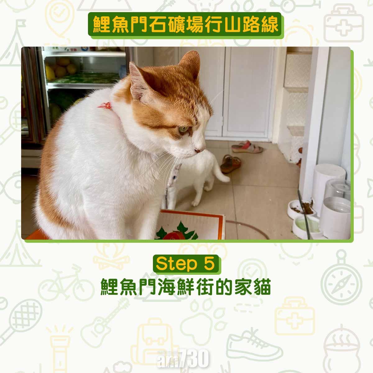 鯉魚門石礦場行山路線