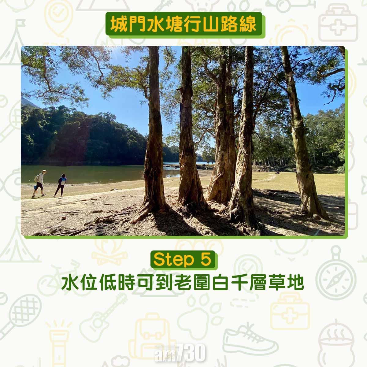 城門水塘行山路線