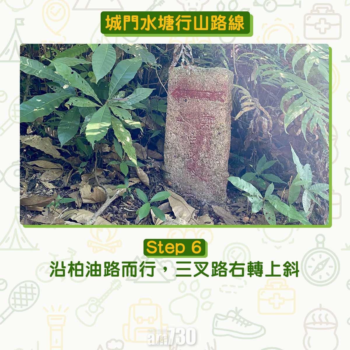 城門水塘行山路線