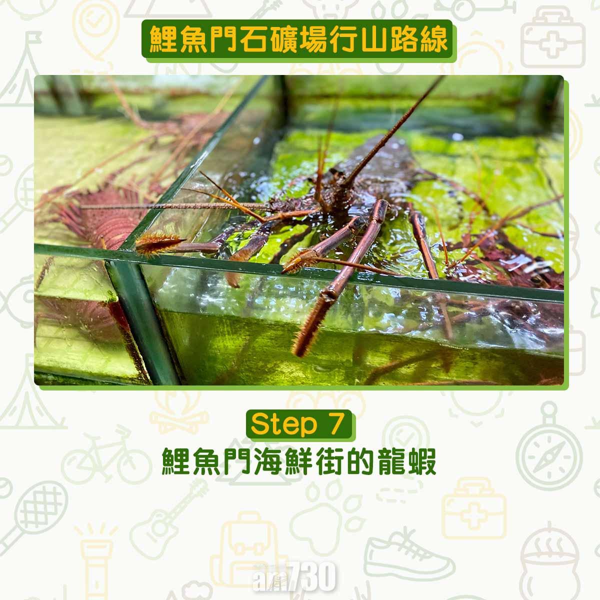 鯉魚門石礦場行山路線