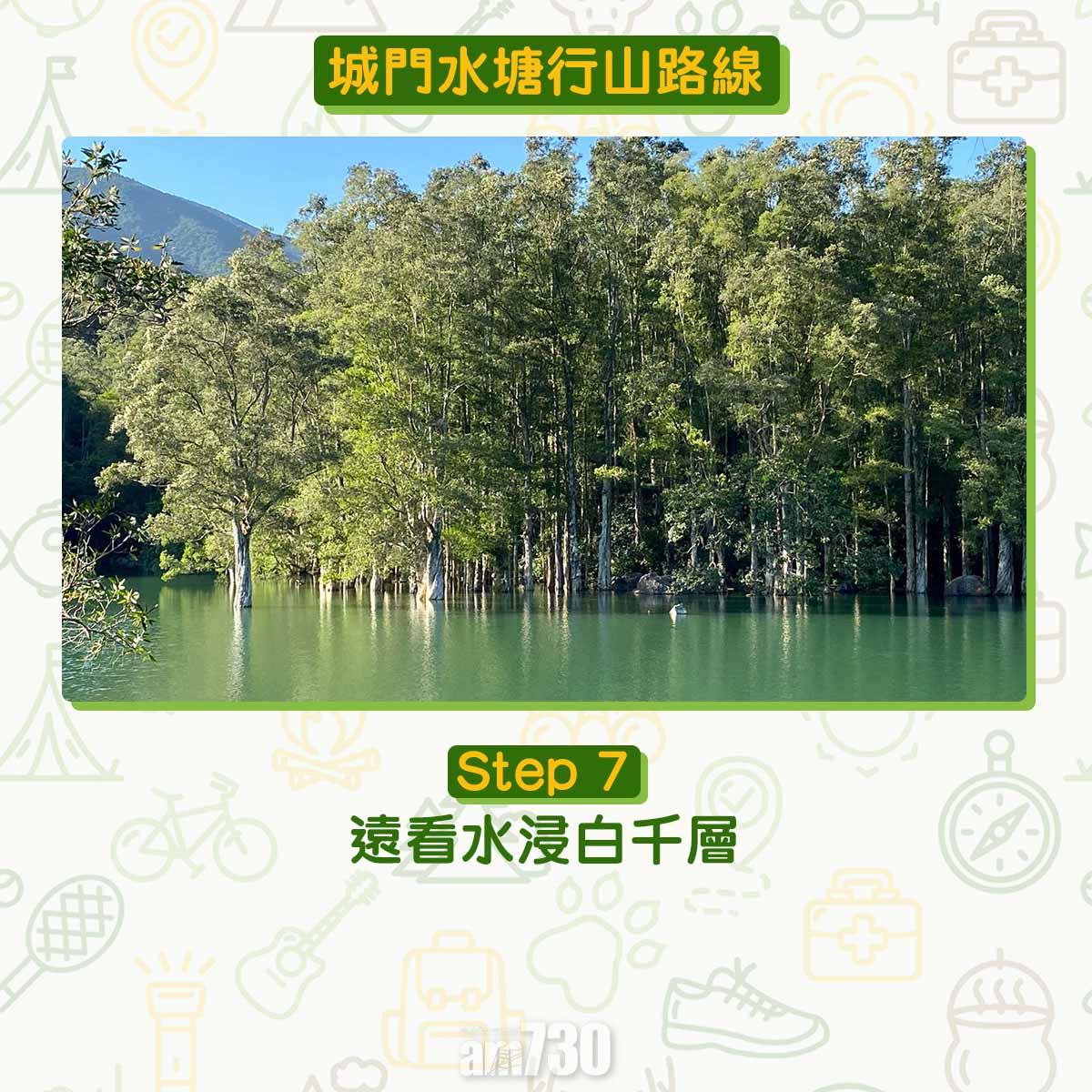 城門水塘行山路線