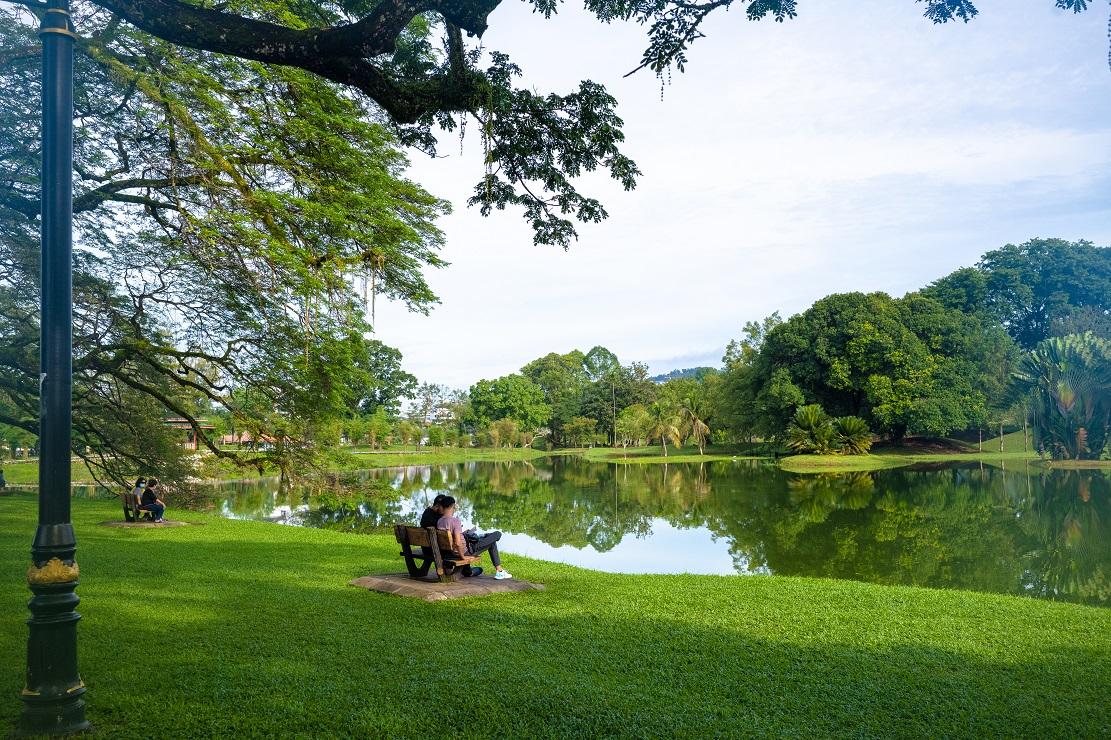 太平湖公園由十多個湖泊組成,並有多棵百年古老