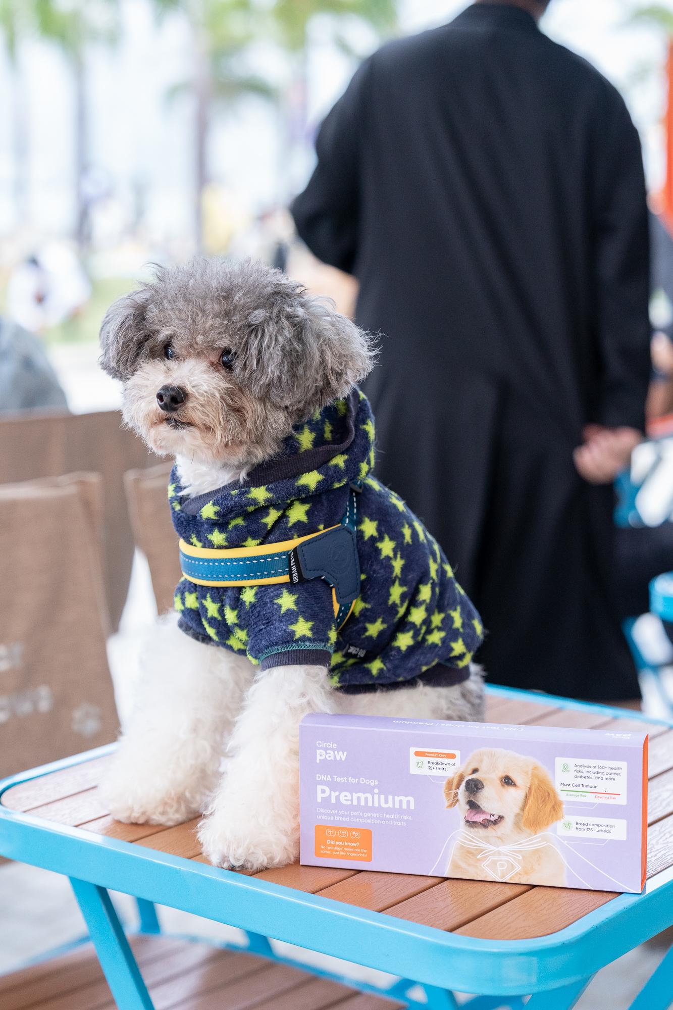 CirclePaw狗狗基因測試