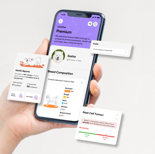 在Circle app閱覽CirclePaw的全面報告。
