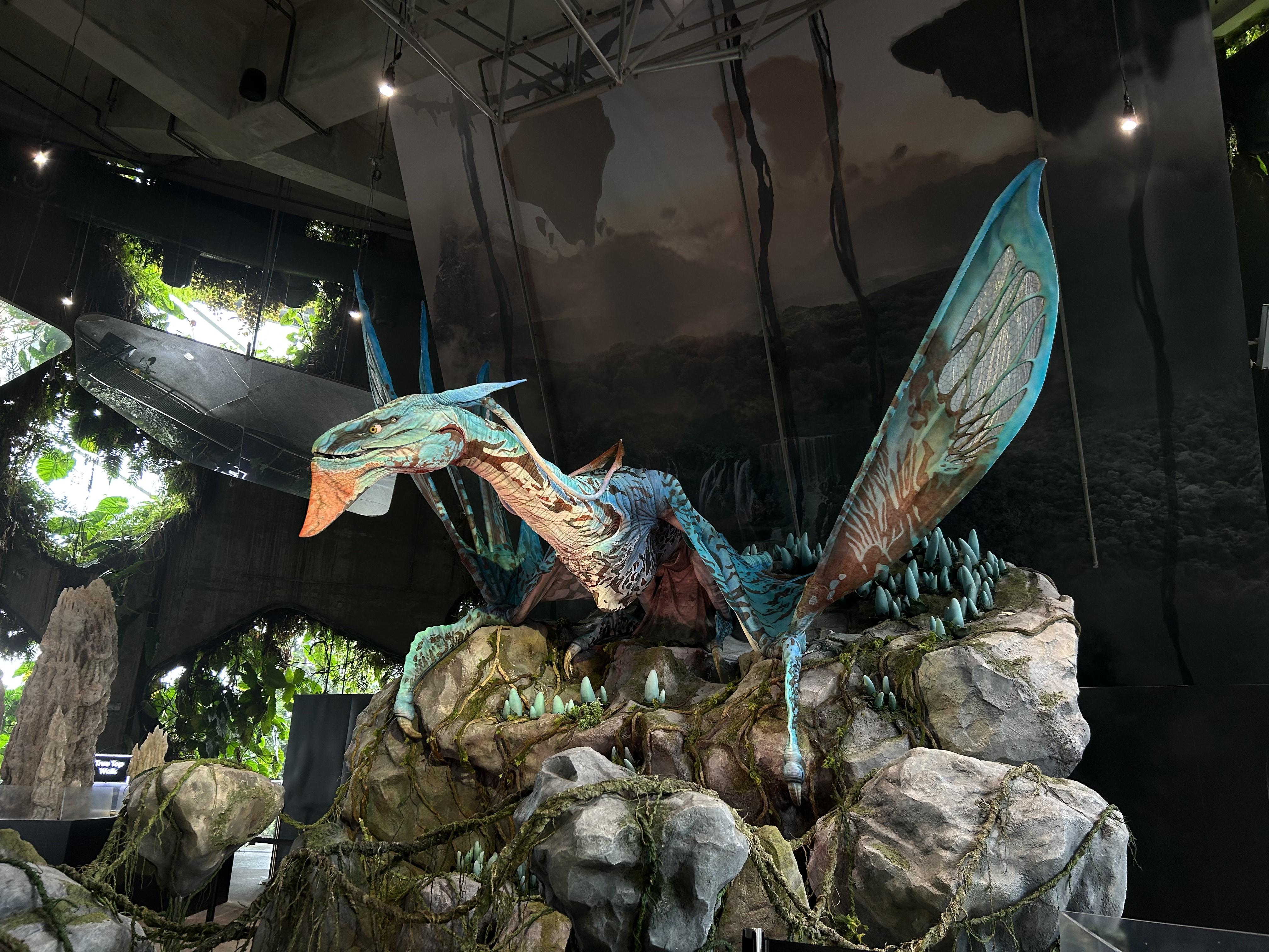 打卡位5:高山斑溪獸