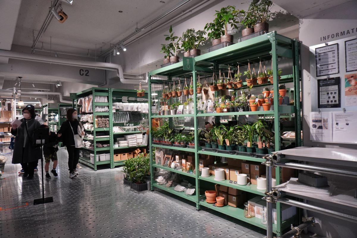 原宿店限定的植物專區