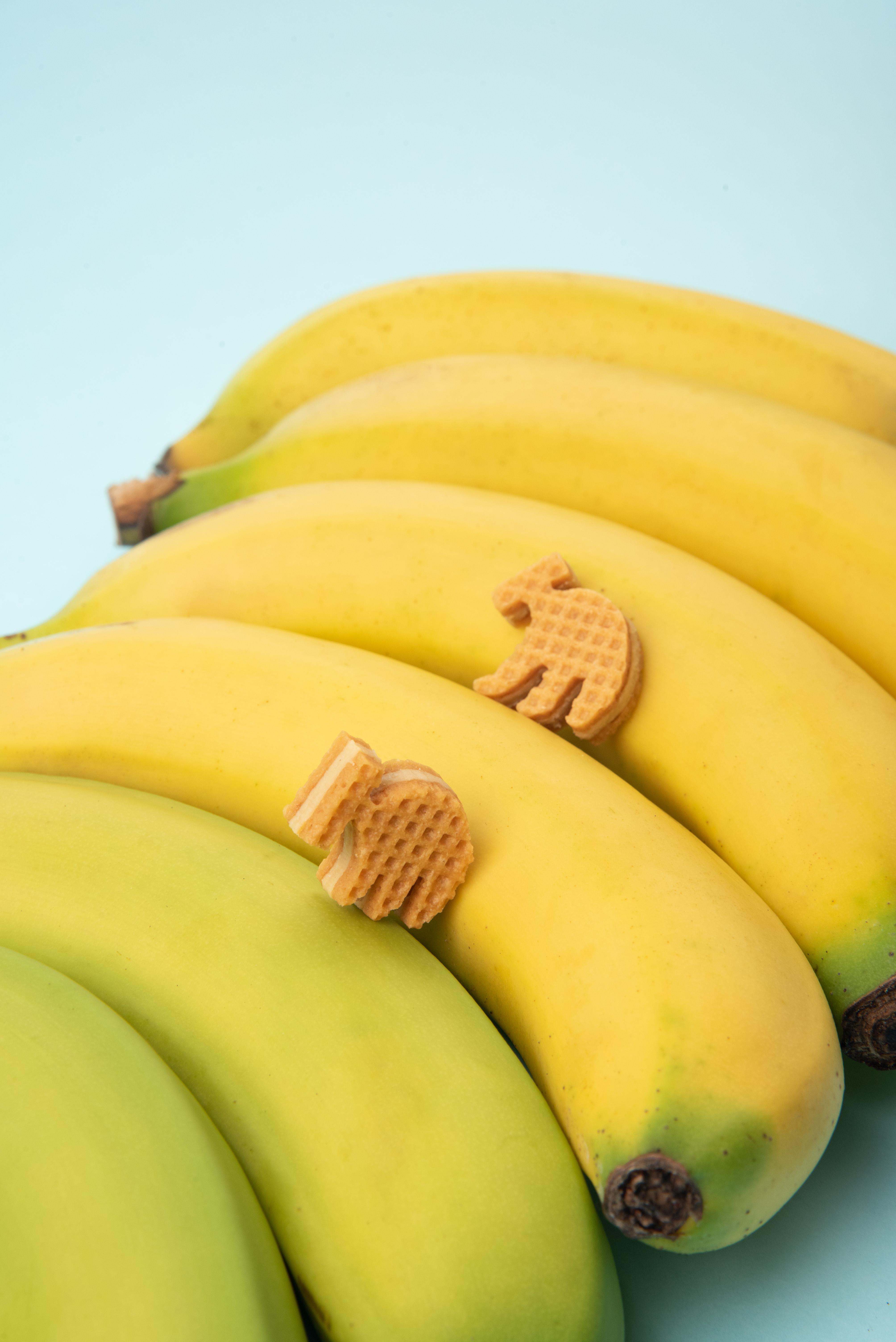 山丘芭娜娜(8 片裝原價$139,聖誕早鳥價$132)