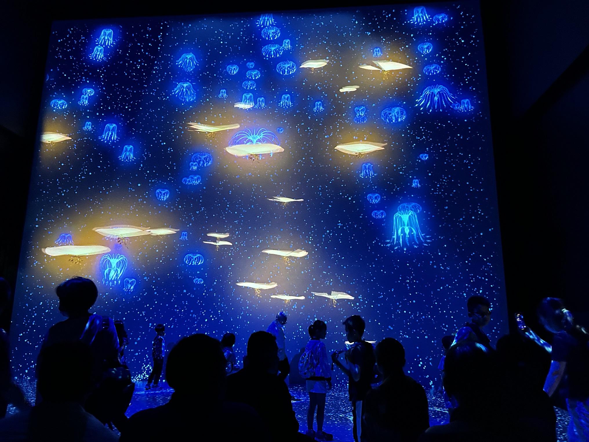 打卡位7:沉浸式光影Show