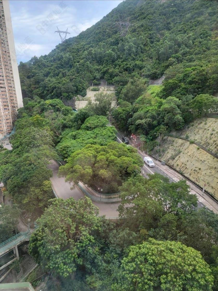 景觀以翠綠山景為主,非常開揚。(代理提供)