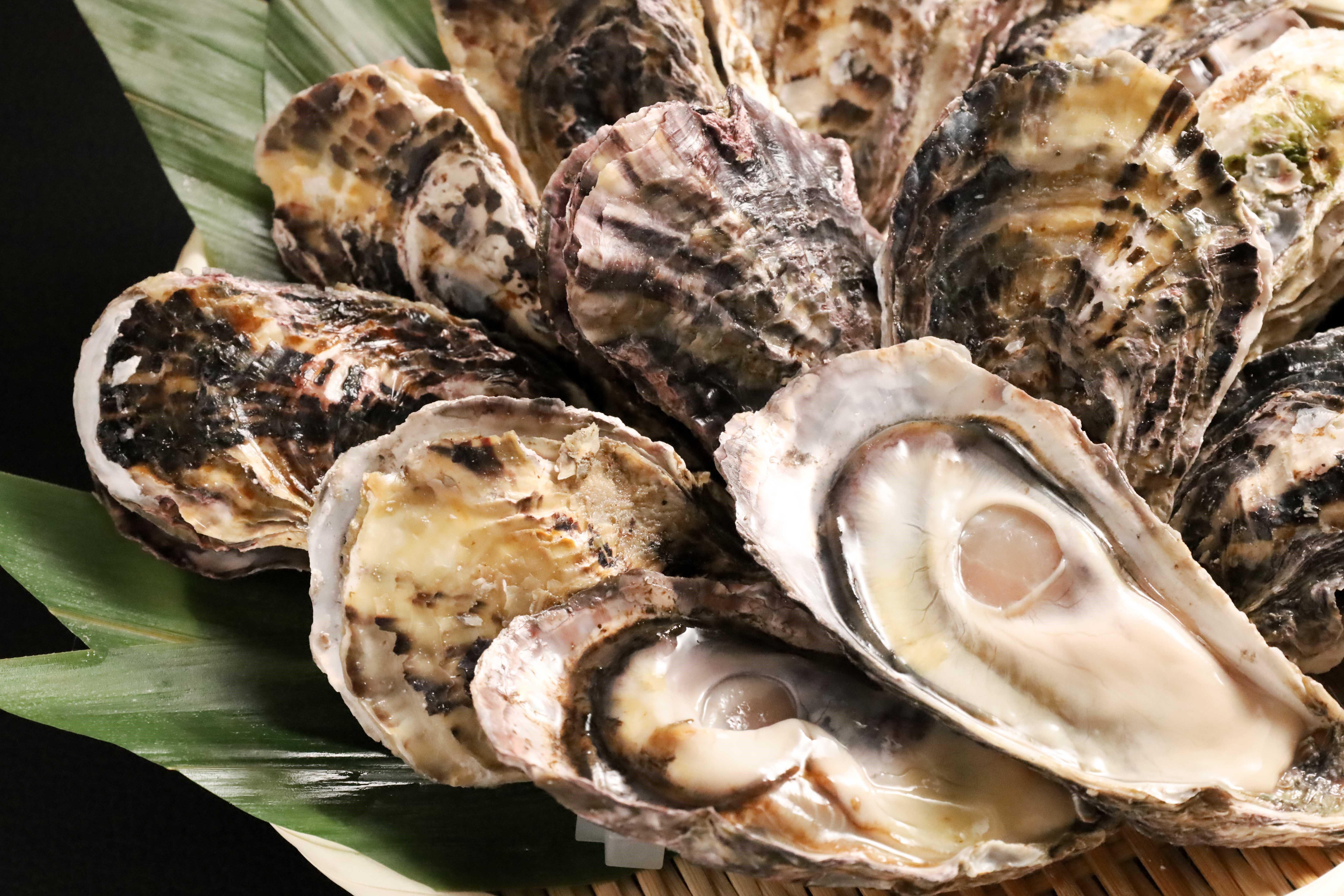 兵庫縣産 連殻生蠔