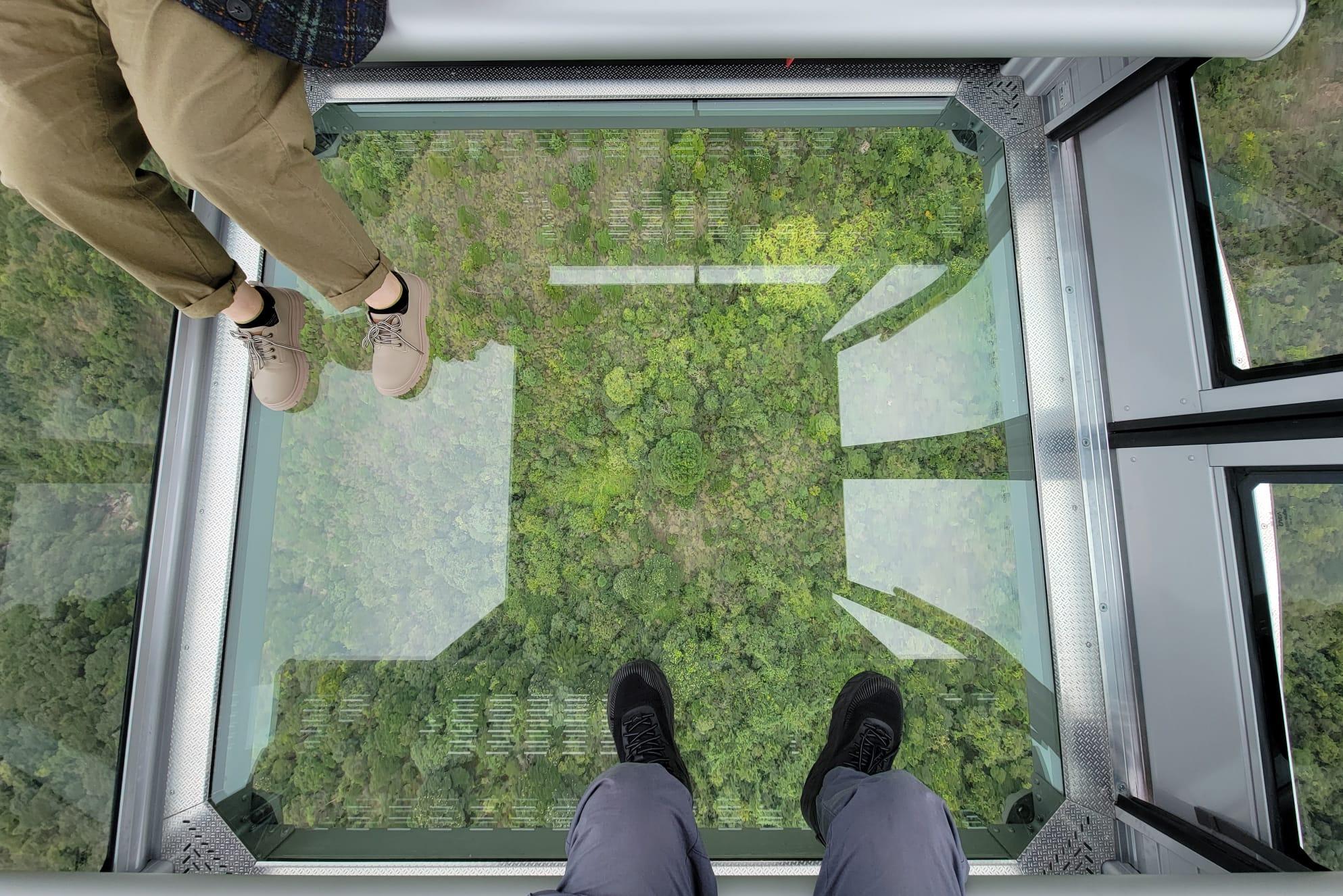 懸浮半空|昂坪360「全景纜車Crystal+」登場 車底兼四面採全透玻璃