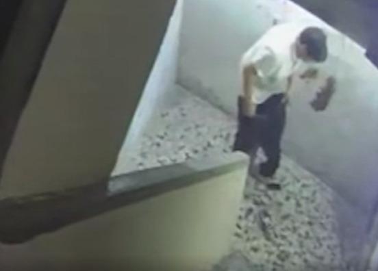 男子將屎忟完到牆上後穿回褲子