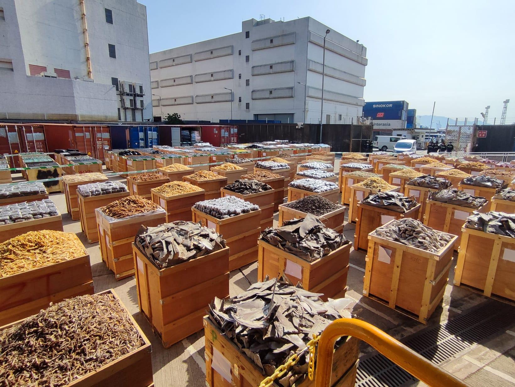 海關破獲今年第二大宗海路走私案 檢市值2億走私海味紅酒黑膠碟