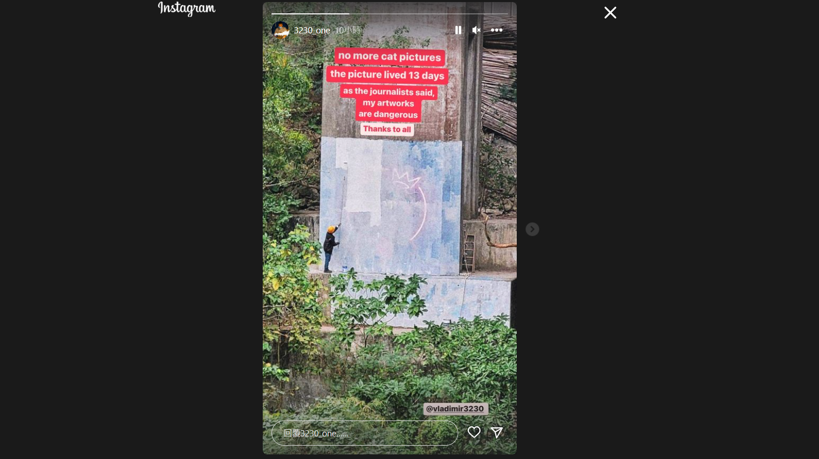 汀九皇冠貓畫「存活13天」被白油覆蓋 俄畫家:no more cat pictures