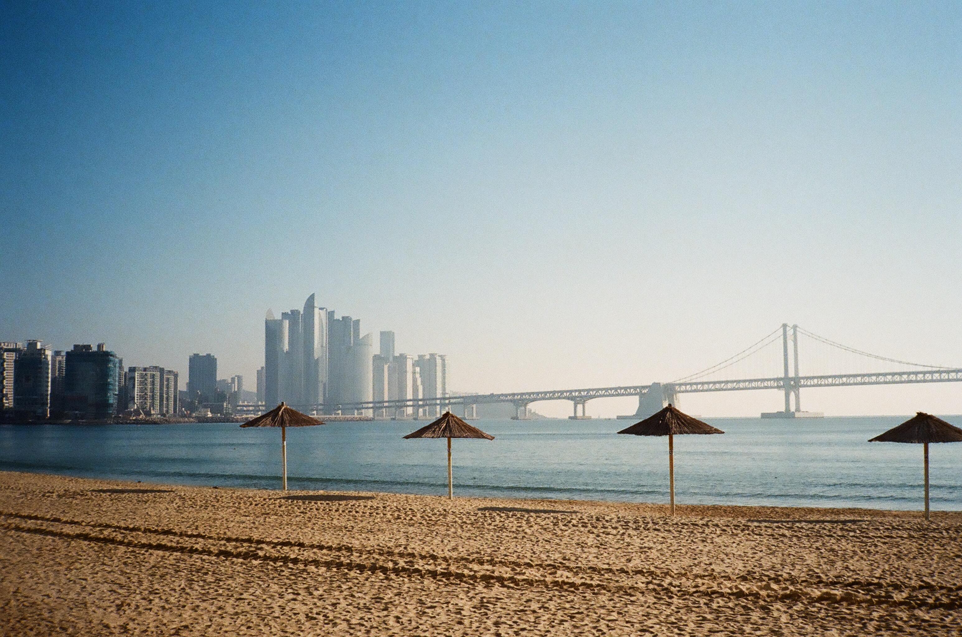釜山海雲台 (unsplash)