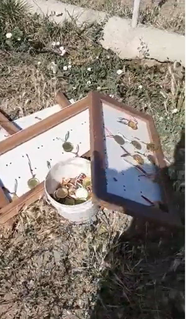 大量獎牌被棄如垃圾。(互聯網)