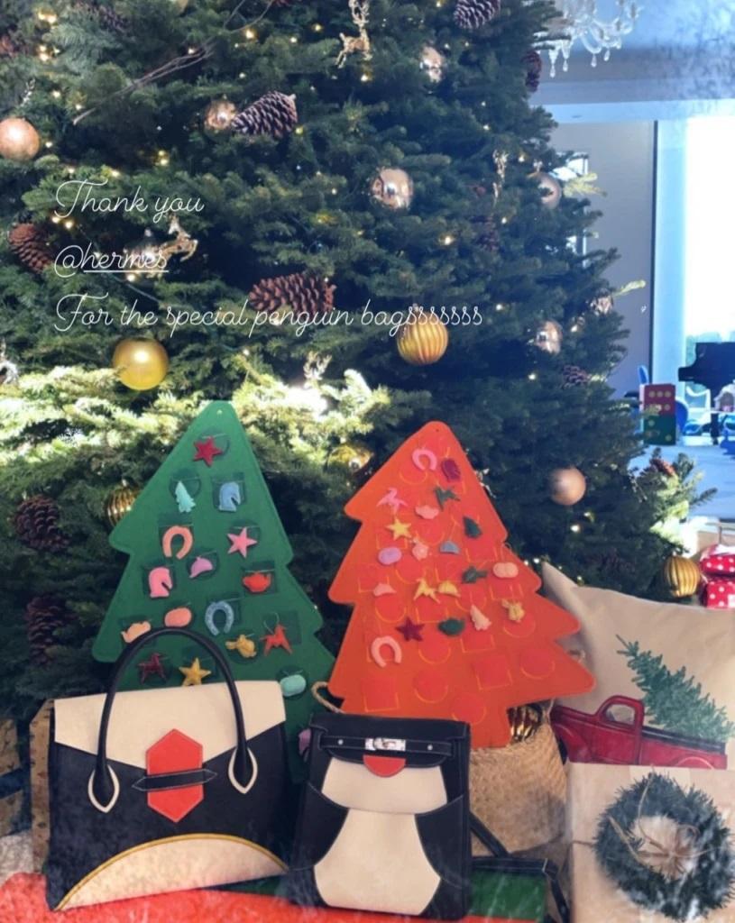 甘比於2020年收到的企鵝系列。