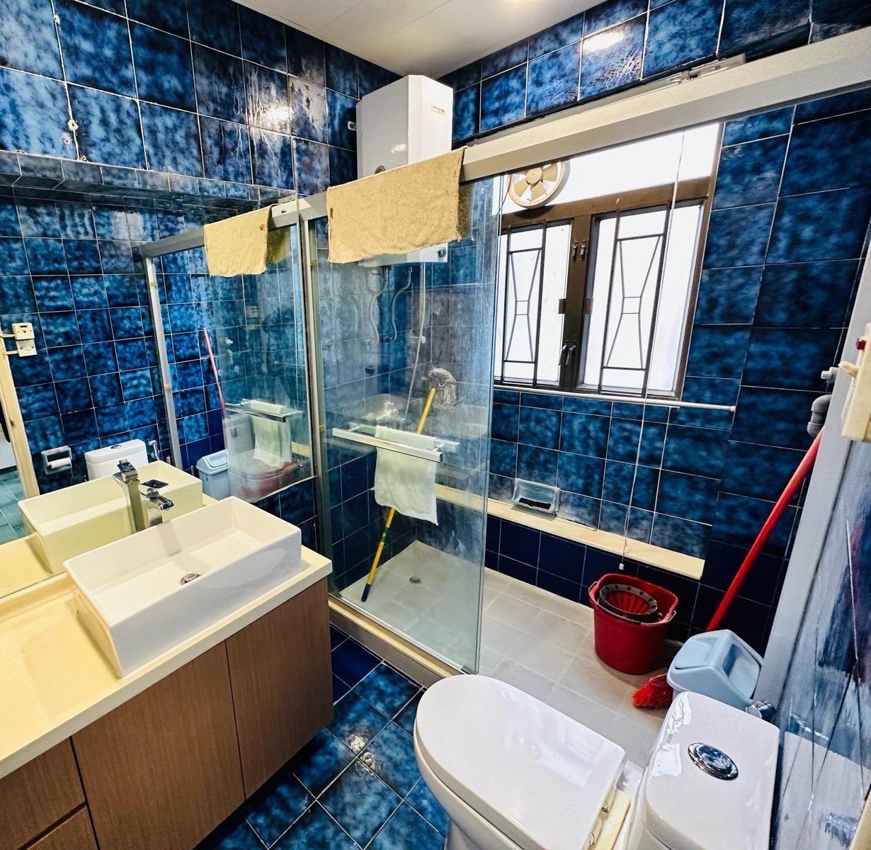 浴室牆身和地下以深彩藍色瓷磚鋪砌,配以闊大的企缸,加上設有大窗戶,屬少見的設計格局。