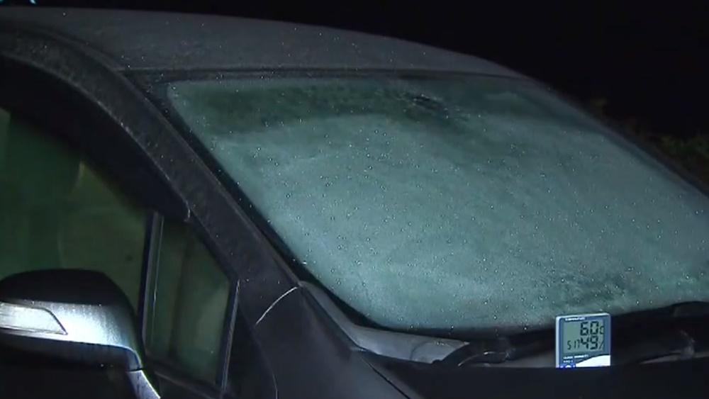 打鼓嶺清晨出現結霜,今早市區降至12度以下。(電視截圖)