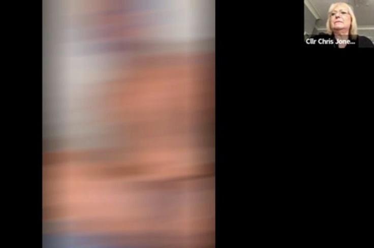 畫面充滿肉色,令與會議員目瞪口呆。(YouTube)