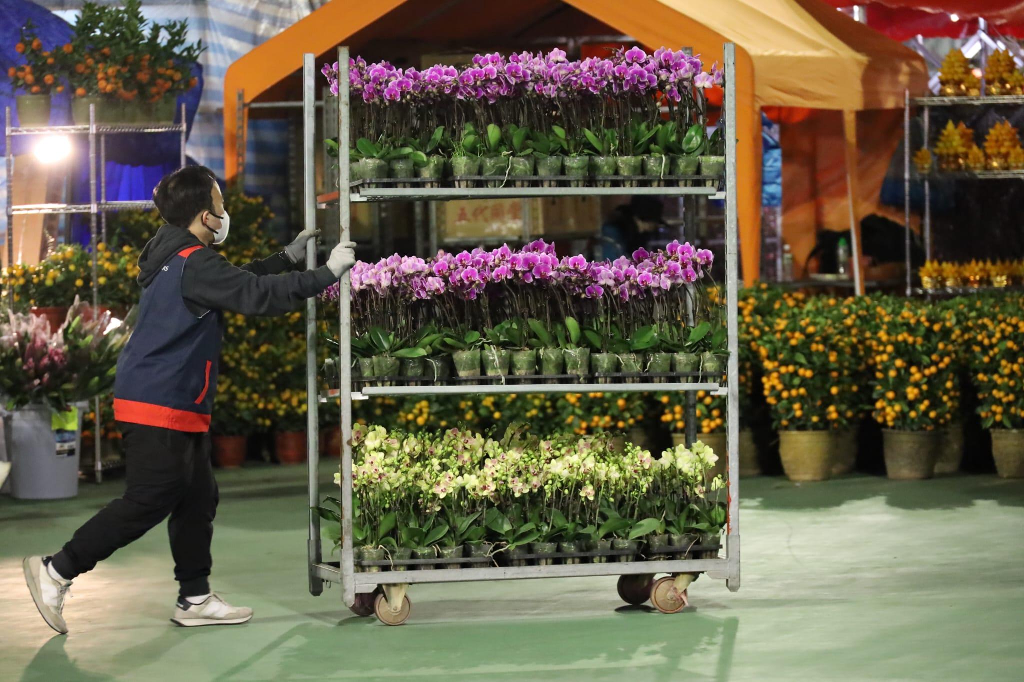 全港15個年宵市場,今日開鑼。(鍾式明攝)