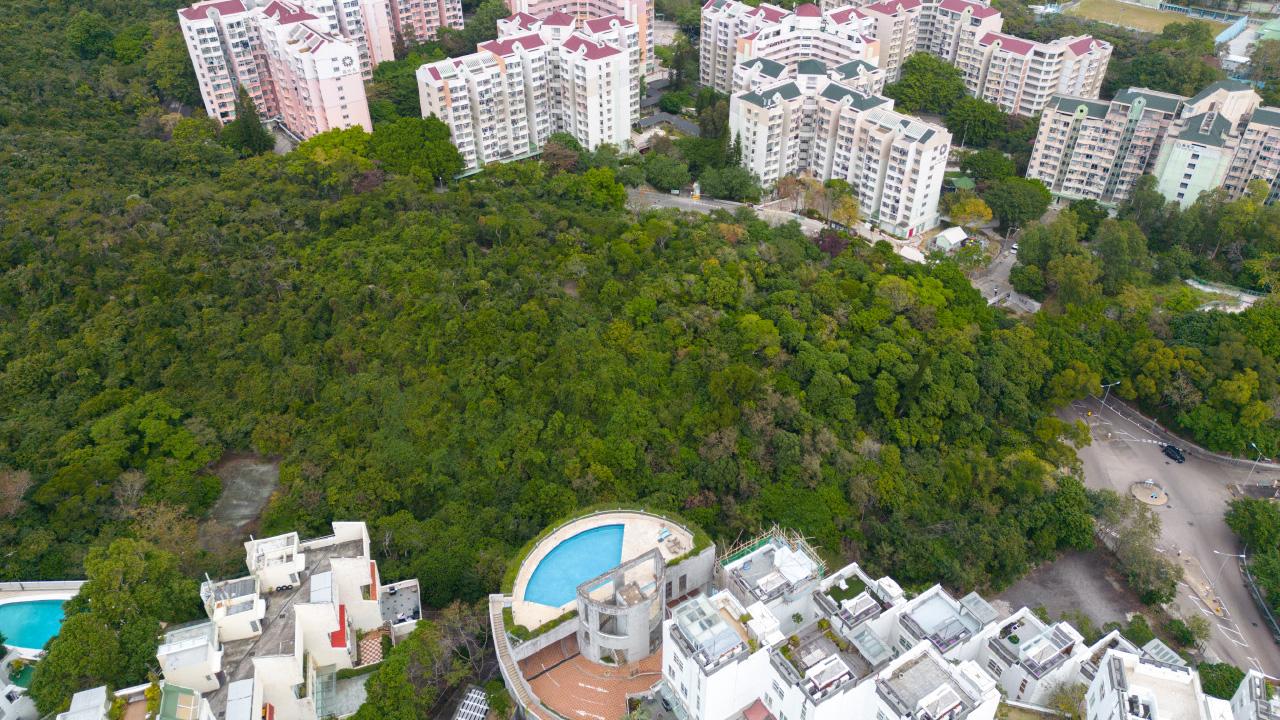 從赤柱地流標 看政府的賣地取向