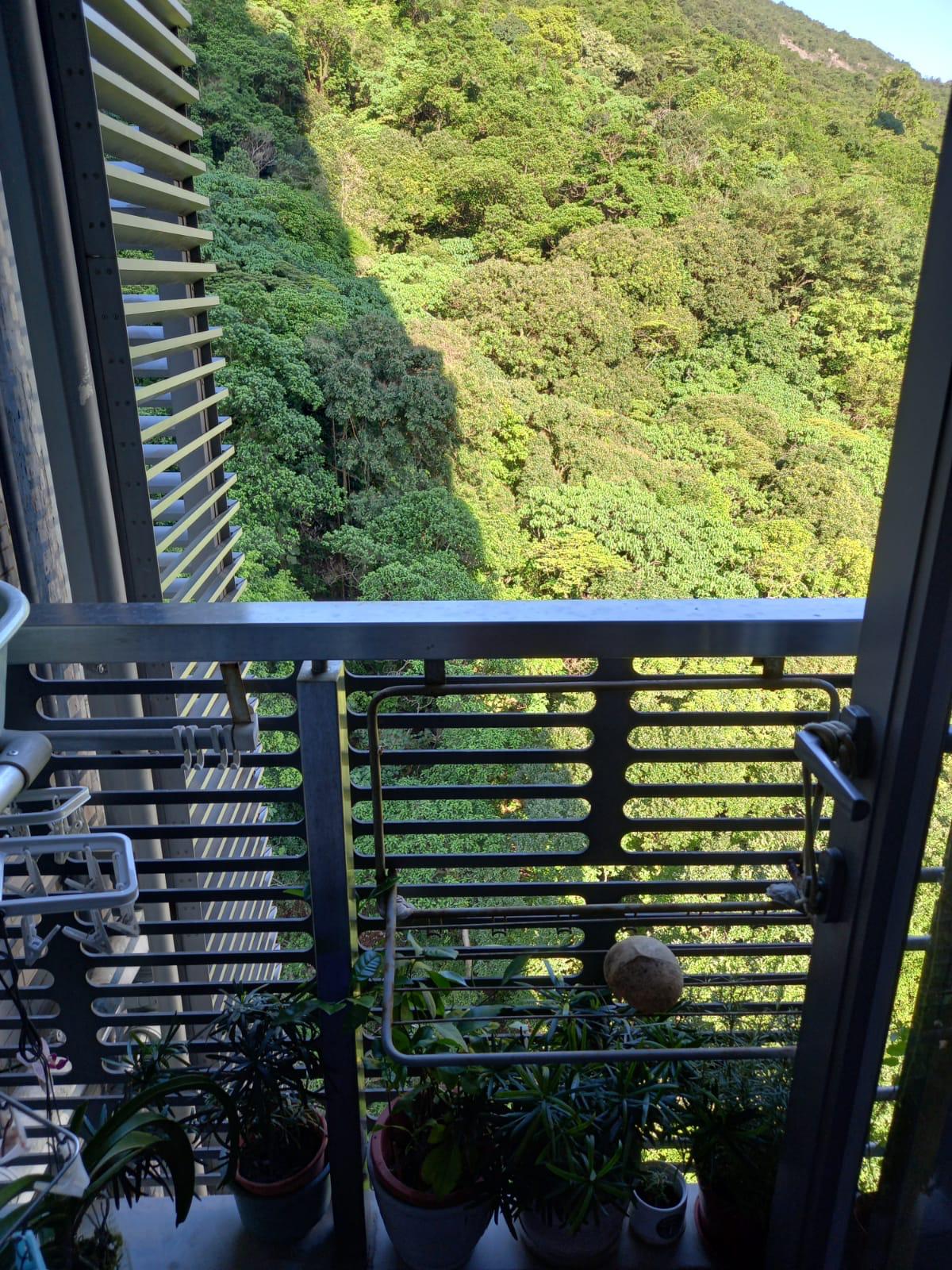 全屋被群山包圍,居住環保非常清新舒適。