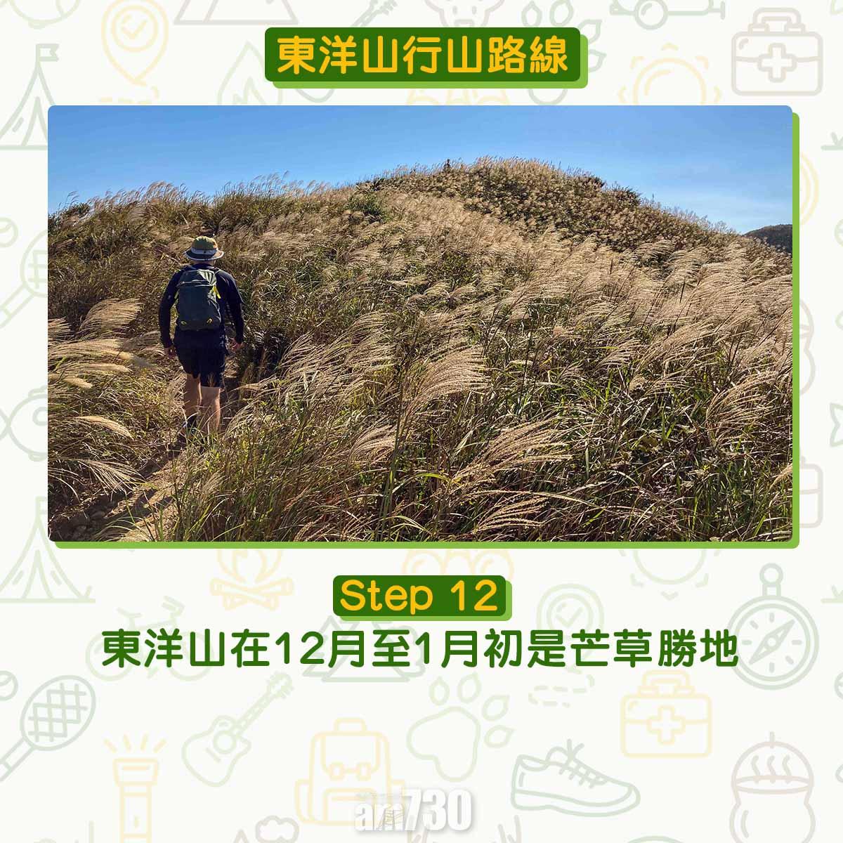 兔年行大運︱訪東洋山兔仔許願石 新年事事順利