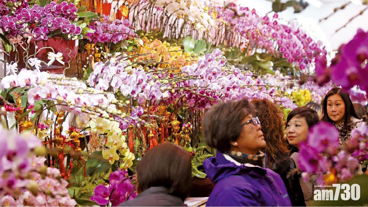 新年好去處2023|全港15區年宵花市