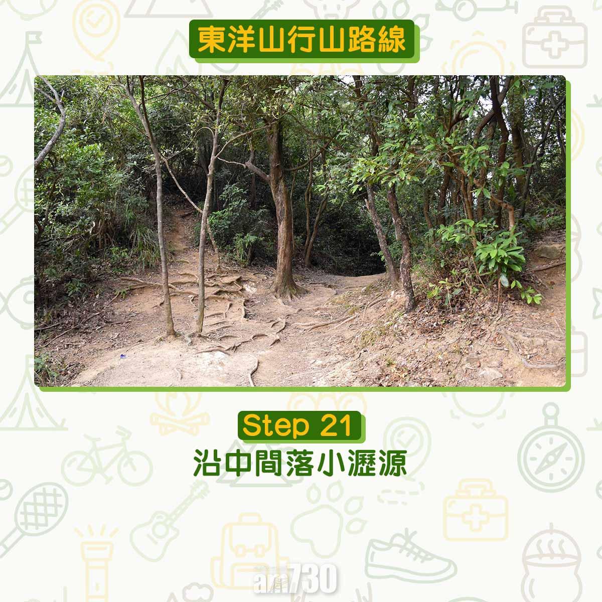 兔年行大運︱訪東洋山兔仔許願石 新年事事順利