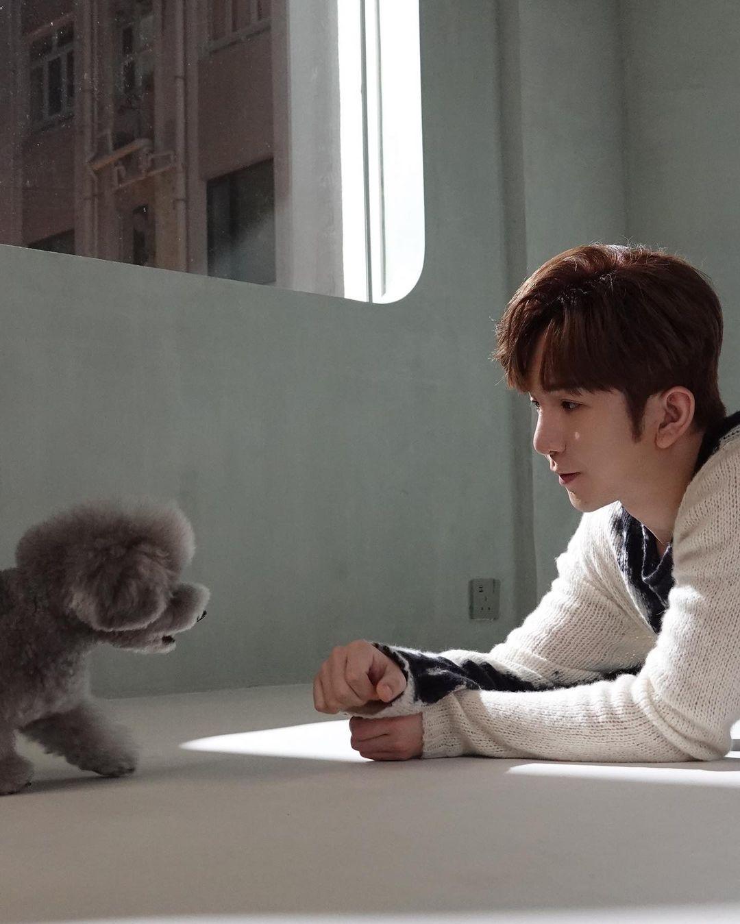 兔年運程2023|屬豬藝人有Anson Lo。