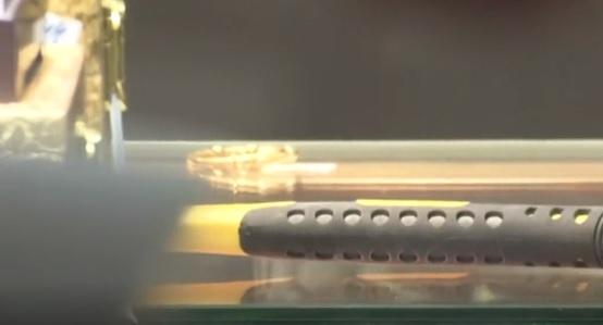 紅磡珠寶店遭爆竊無損失 警重組案探員埋伏拘4人包括1非法入境者