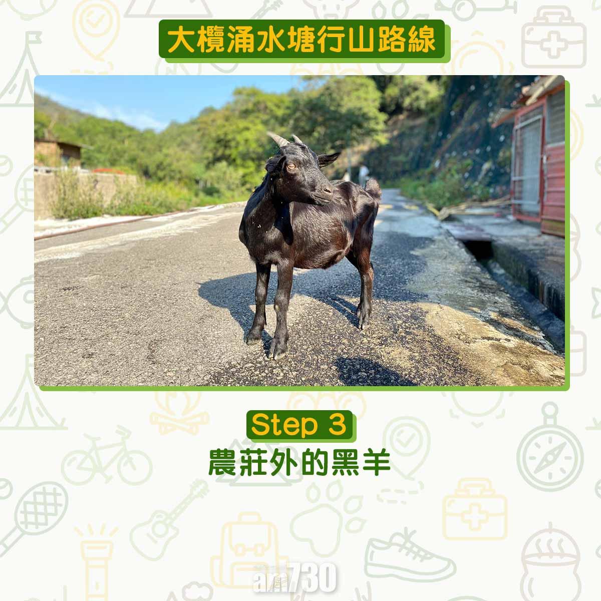 大欖涌水塘行山路線