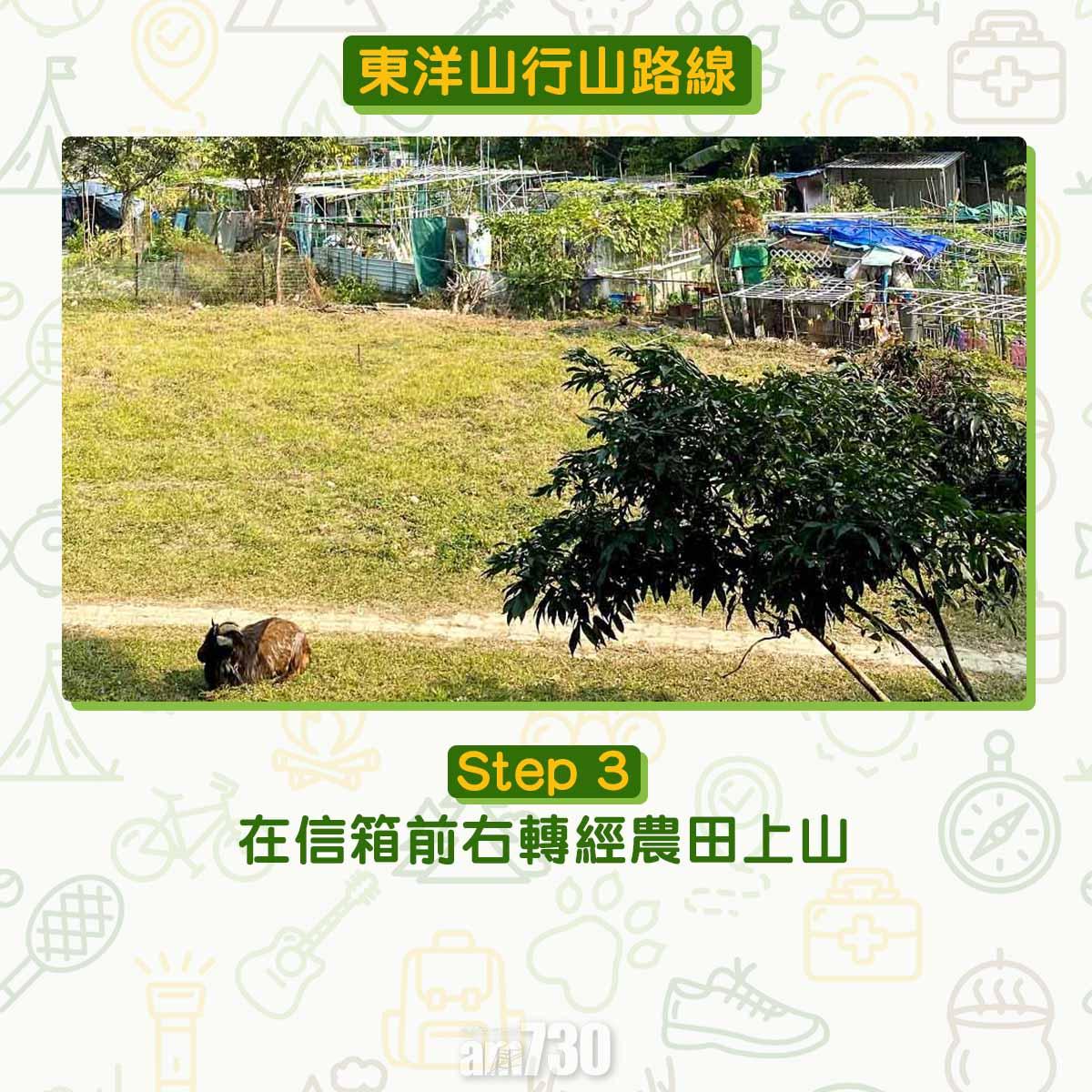 兔年行大運︱訪東洋山兔仔許願石 新年事事順利