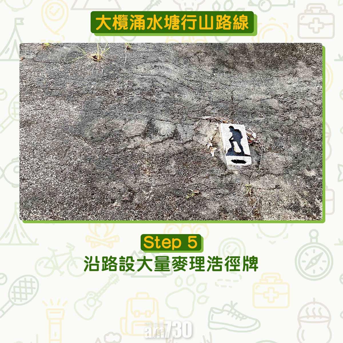 大欖涌水塘行山路線