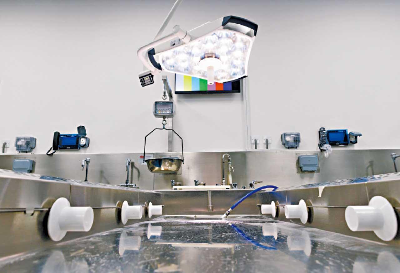 新界沙田法醫學大樓啟用 遺體儲存容量增三倍